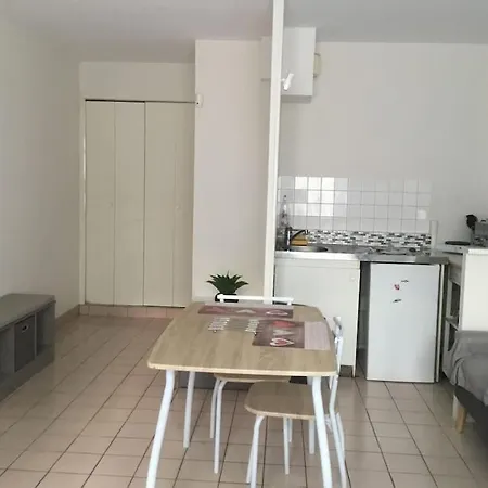 公寓 Meuble 27 Metres Carres Wifi Netflix 尼奥尔